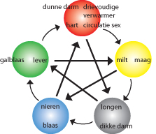 Schema dat de werking van de vijf elementen laat zien.